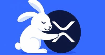 Unlocking the Future: How Rabby Wallet’s XRPL EVM Integration with Peersyst Could Revolutionize Your Crypto Game Overnight