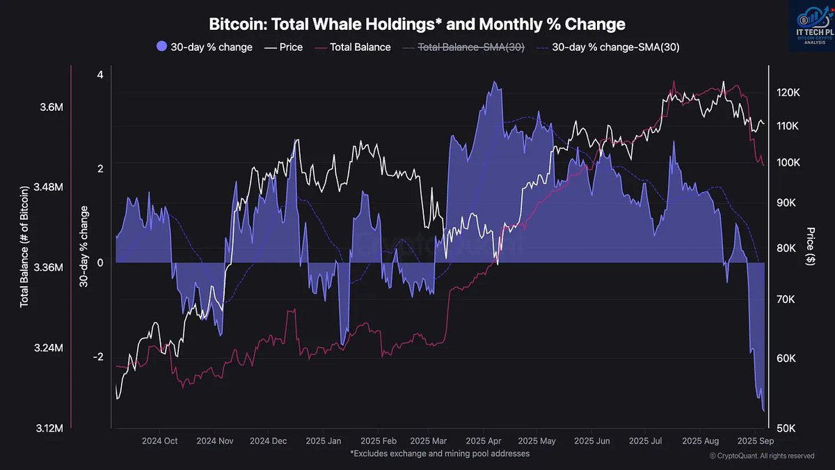 Why Are Bitcoin Whales Suddenly Retreating While Retail Investors Take Over? The Untold Story That Could Change Your Crypto Game!