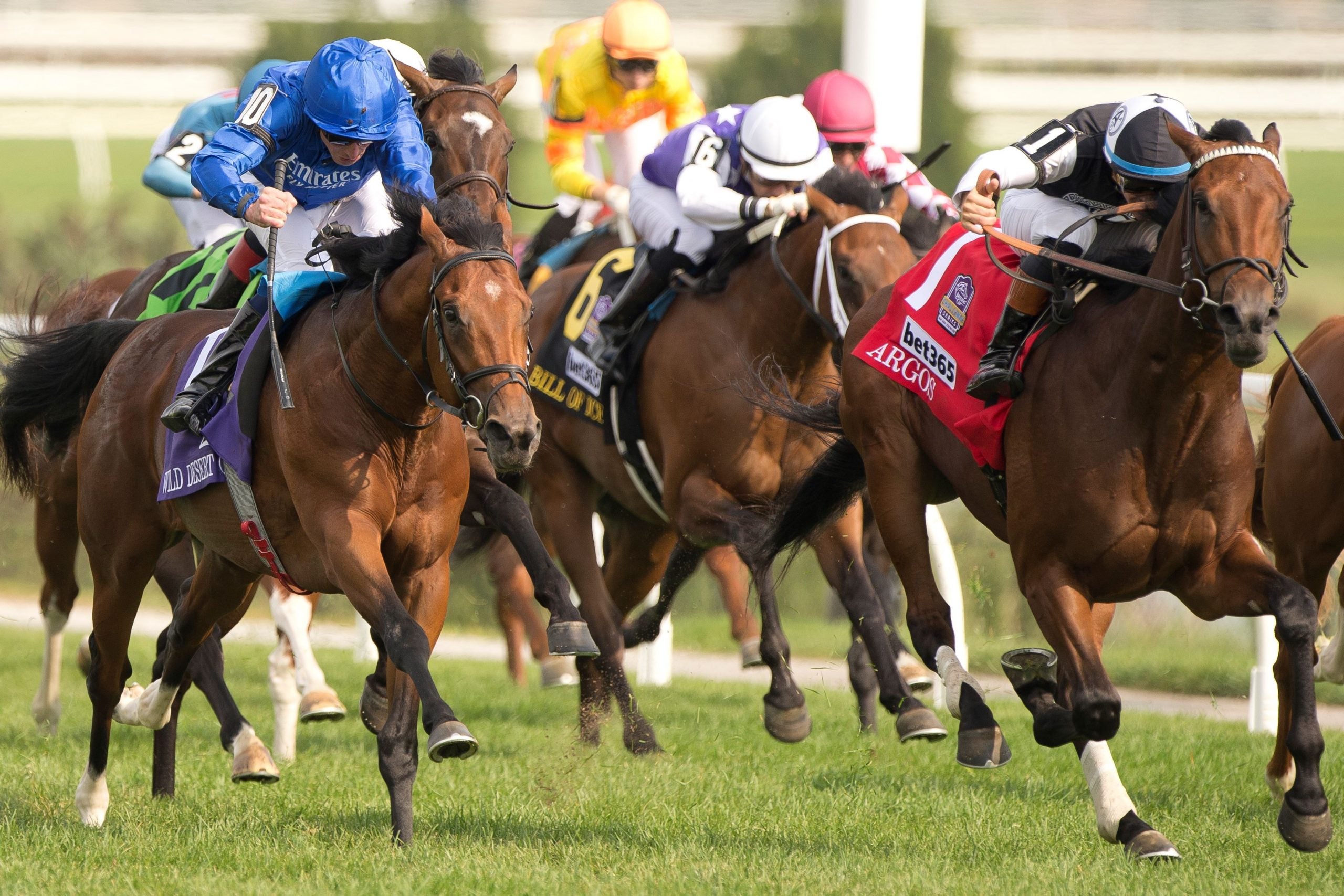 You Won’t Believe How 2025 Turf Champions Day at Woodbine Broke All Expectations — Here’s What Happened Next!