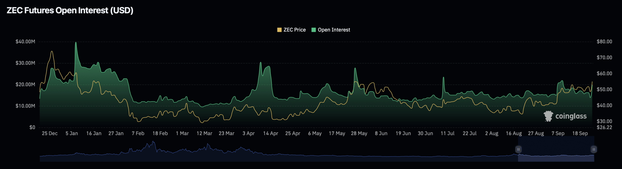 Zcash’s Sudden 11% Surge: Why Perpetual Swaps Aren’t Telling the Full Story—and What It Means for Your Investments