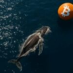 Bitcoin Whale’s $356.6M BTC Haul: Is This the Silent Move That Signals the Next Crypto Tsunami?