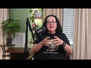 Herbs for Gut Health with Rita Hogan