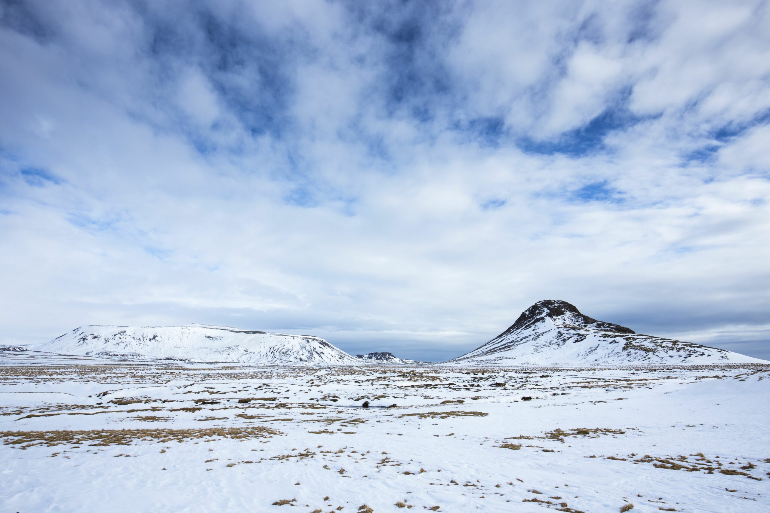 Mosquitoes Invade Iceland—Why This Tiny Pest Could Trigger a Global Health Nightmare You Can’t Ignore!