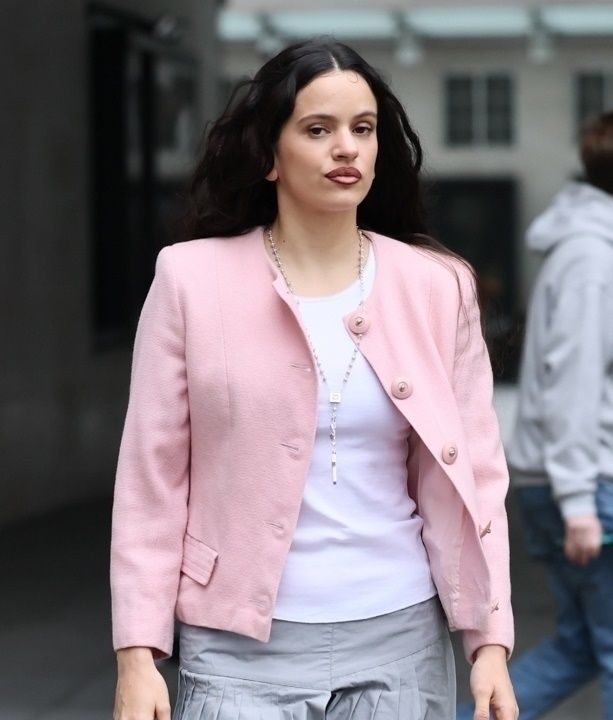 Rosalía’s Bold Pink and Gray Look Sparks Buzz—Is a Game-Changing Album Drop Just Around the Corner?