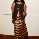 Solange’s USC Scholar-In-Residence Role: The Unexpected Power Move Shaking Up Academia and Creativity!