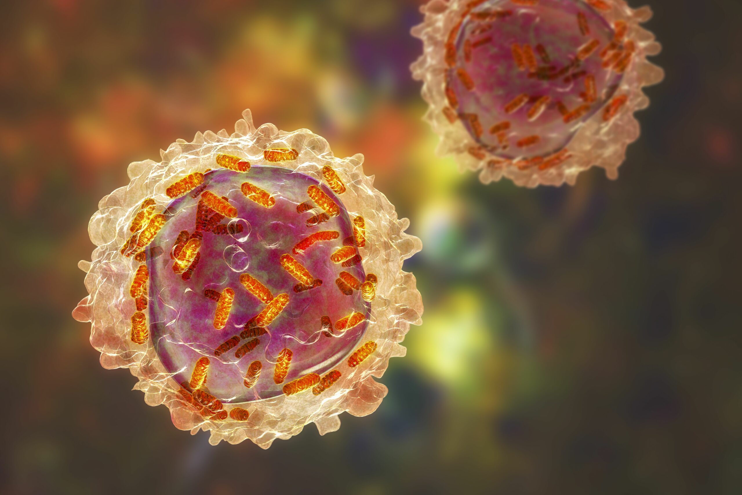 This Revolutionary Vaccine Shut Down Cancer In Mice – Scientists Are Stunned By What Happens Next!