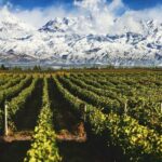 Unlock Mendoza’s Secret: The Unexpected Elixir That Fuels Wellness and Adventure in Argentina’s Sun-Kissed Vineyards