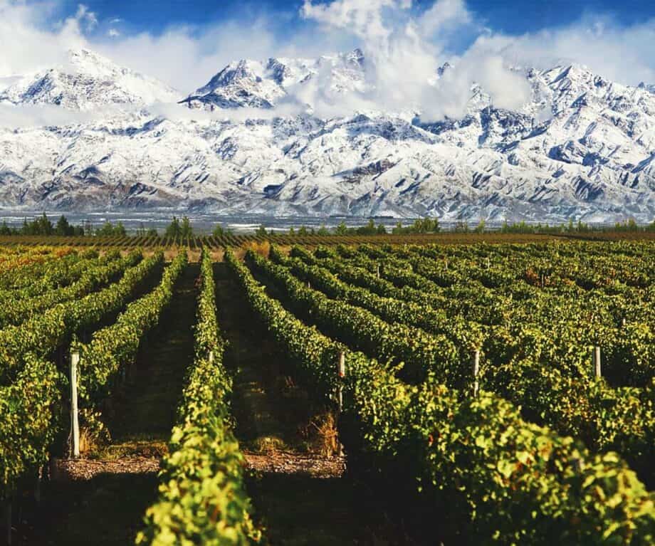 Unlock Mendoza’s Secret: The Unexpected Elixir That Fuels Wellness and Adventure in Argentina’s Sun-Kissed Vineyards