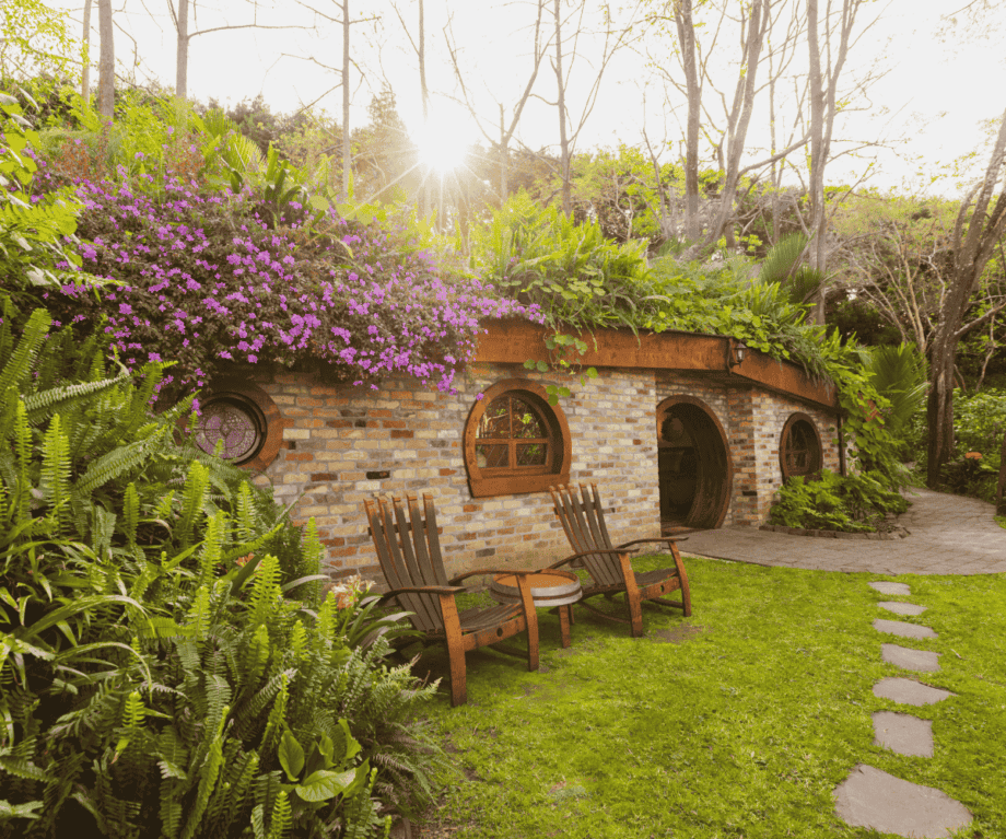 Unlock New Zealand’s Best-Kept Secrets: Luxury Stays Where Wilderness Meets Unmatched Indulgence