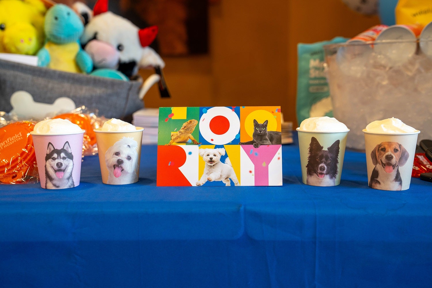 Unlock the Secret Behind PetSmart’s Viral Birthday Bashes That Every Pet Owner Can’t Stop Talking About—And How They’re Redefining Pet Wellness and Community!