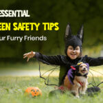 Unlock the Secret Halloween Hazards Lurking Around Your Pets This Spooky Season—And How to Shield Them Now!