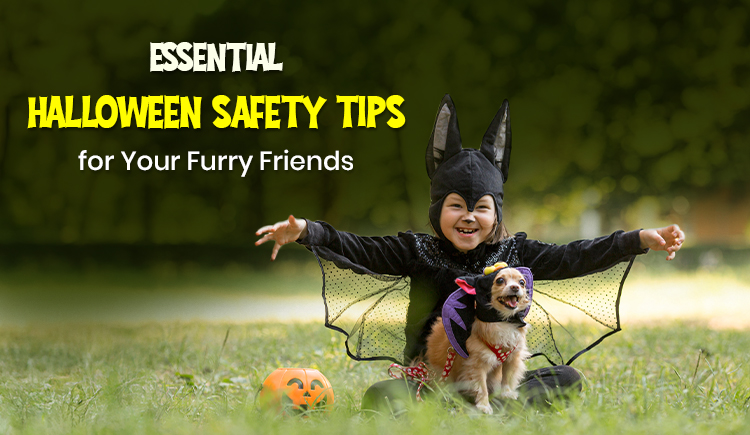 Unlock the Secret Halloween Hazards Lurking Around Your Pets This Spooky Season—And How to Shield Them Now!