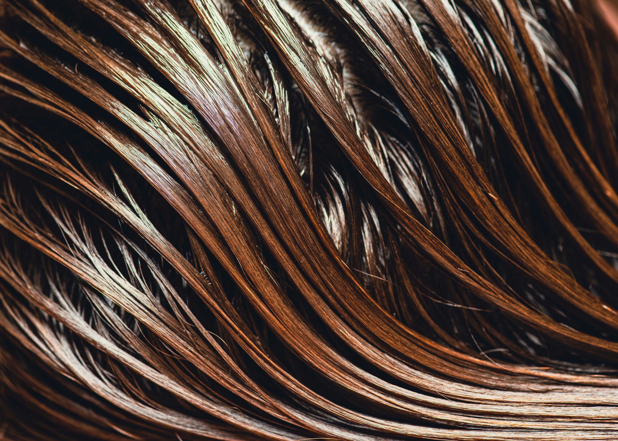 Unlock the Secret Protein Hack Top Athletes Use for Unbreakable, Glowing Hair – Here’s How You Can Too!