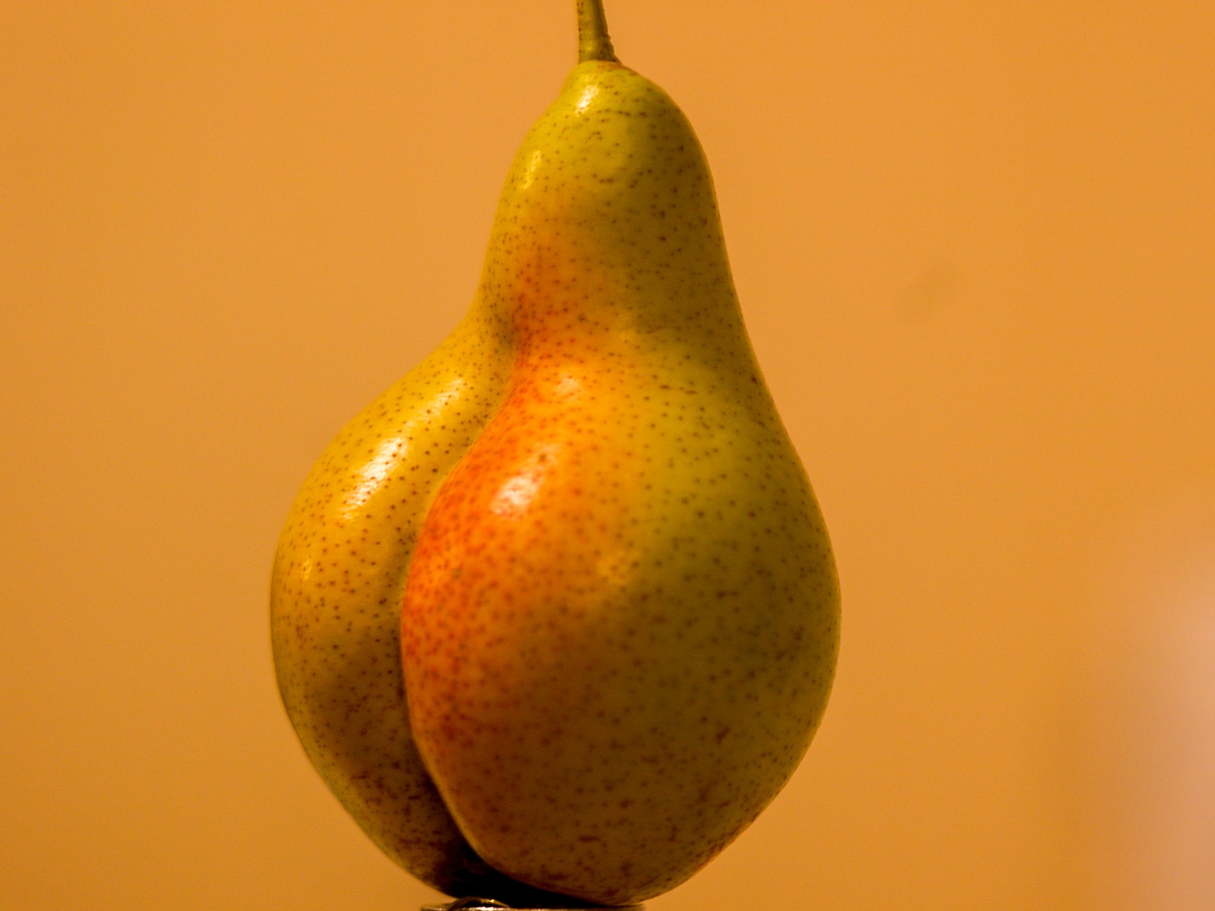 Unlocking the Ultimate Survival Hack: Could Humans Really Breathe Through Their Butts?