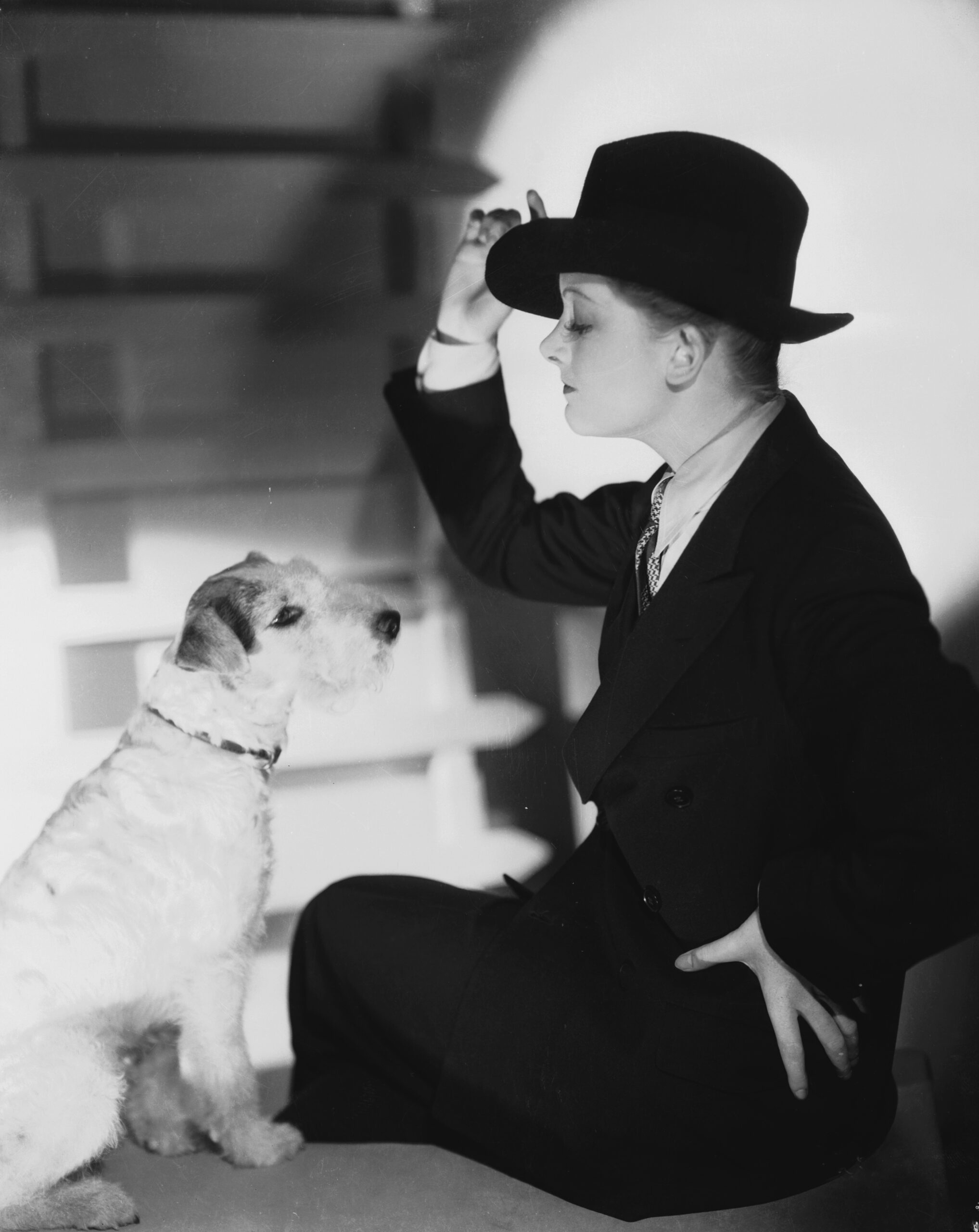 Unlocking the Untold Secrets of Skippy: The Canine Star Who Stole Hearts and Defied the Silver Screen in the ’30s!