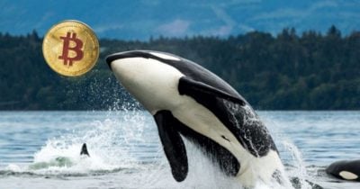 Why Are Crypto Whales Unloading $1.9B In Bitcoin Right Now? The Market’s Next Big Move May Depend On It.