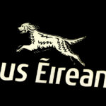 Why Jean O'Sullivan’s Appointment as Bus Éireann CEO Could Change Irish Transport Forever — The Untold Story Behind the Move!