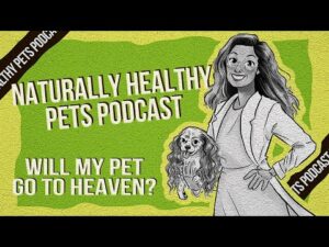 Will My Pet Go To Heaven? | NHP Podcast Ep 65 | Dr. Judy Morgan & Steve Wohlberg