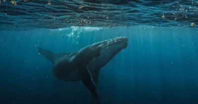 Bitcoin Legend Owen Gunden Drops $372M in BTC to Kraken—What’s Behind This Massive Move Could Change Everything!