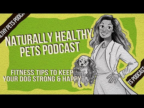 Fitness Tips to Keep Your Dog Strong & Happy | NHP Podcast Ep 67 | Dr Judy Morgan&Dr Laurie McCauley
