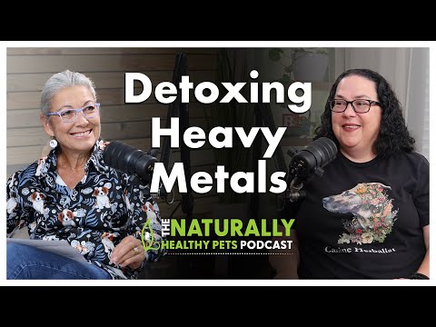 Detoxing With Plant Stem Cell Therapy | NHP Podcast Ep 74 | Dr. Judy Morgan & Rita Hogan