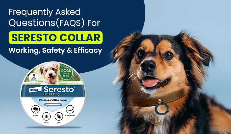 Is the Seresto Collar Exactly What Your Dog Needs? The Shocking Truth Behind Its Safety and Effectiveness Revealed!