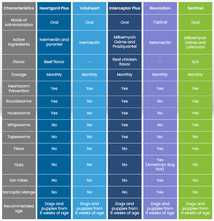 The Shocking Truth About Heartworm Prevention: What Every Dog Owner Must Know to Save Their Pet Now
