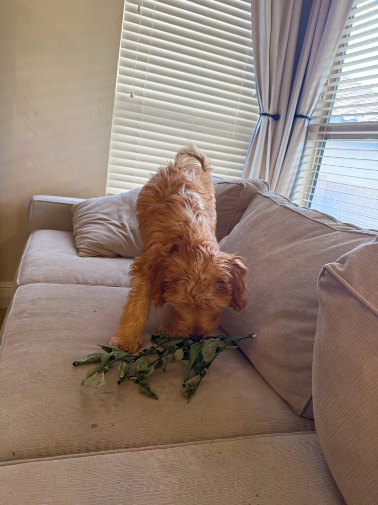 Unlock Friday’s Top Fitness Secrets: What You’re Missing in Your Routine Right Now!