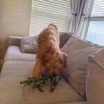 Unlock the Secret Friday Faves That Could Transform Your Health and Hustle Overnight!