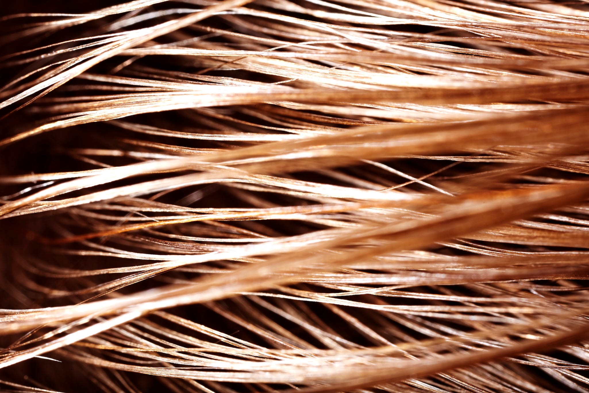 Unlock the Secret Weapon Dermatologists Swear By: How Hyaluronic Acid Could Transform Your Hair in 2026!