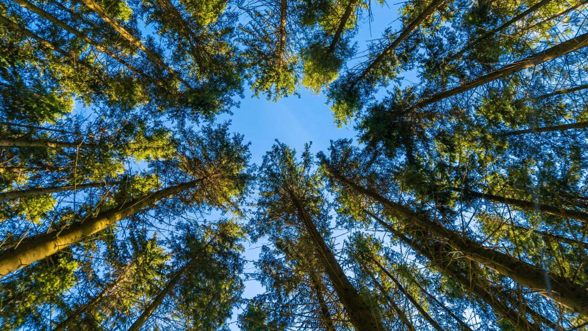 Why 2026 Could Be the Year IPOs Explode — And What Savvy Investors Are Betting On Now