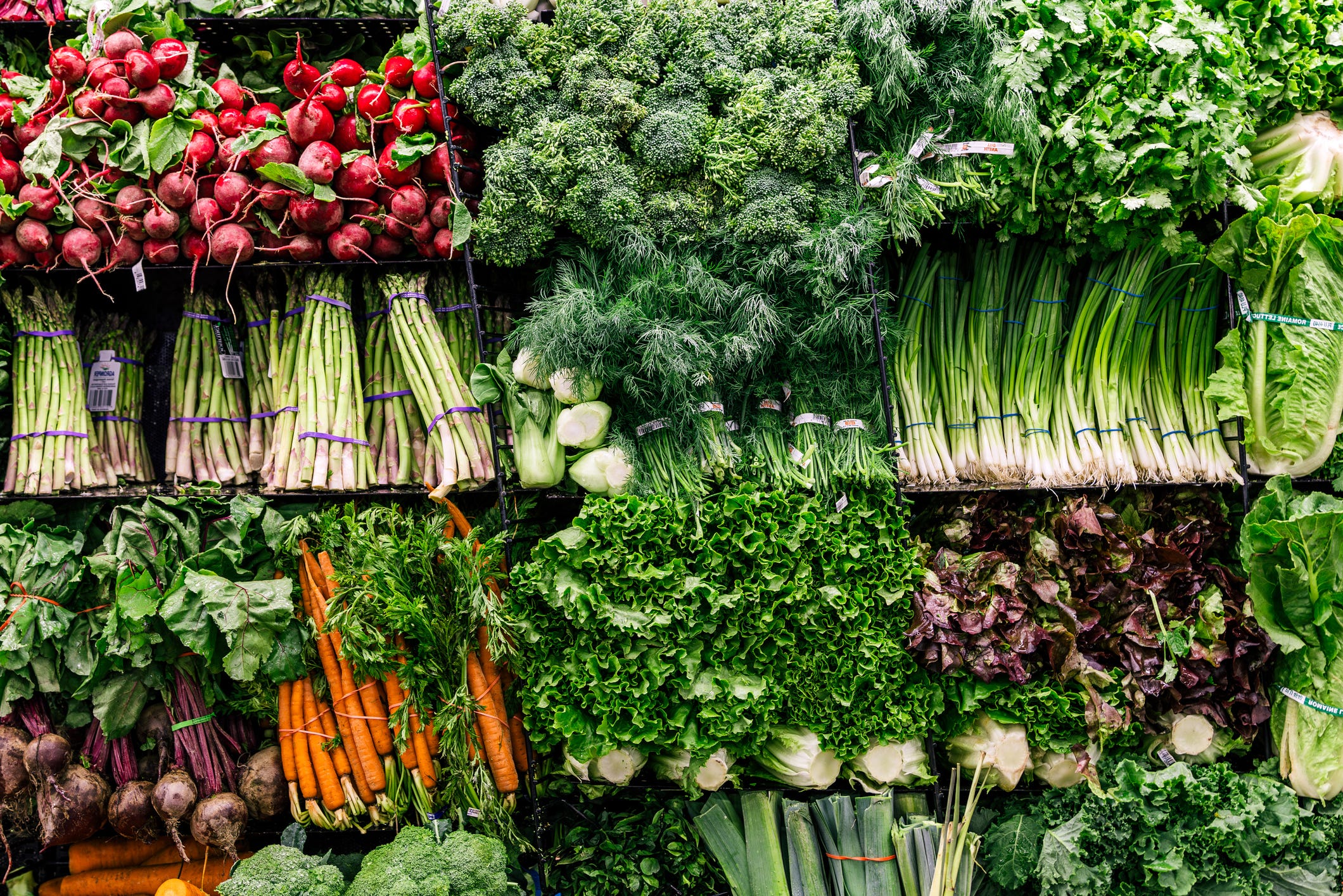 Doctors Are Getting Nutrition Training—But Here’s the Shocking Truth About Whether It’ll Actually Change Anything!