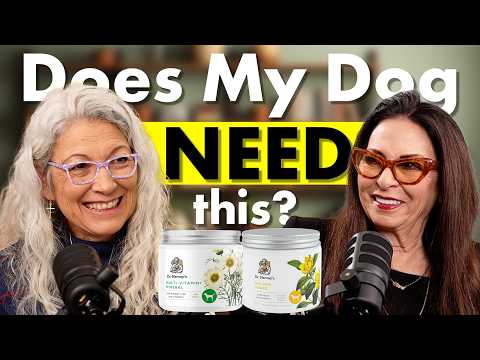 Does Your Dog Need a Multivitamin? What Pet Parents Should Know
