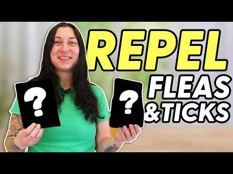 Natural Preventatives to Use in Lieu of Traditional Medications