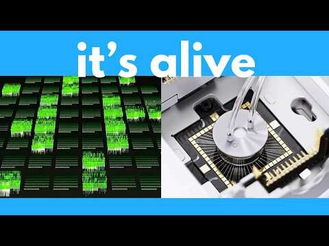 The Matrix is coming