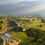 Uncover the Secret 2026 Safari Lodges That Will Redefine Luxury and Ignite Your Wildest Adventures!