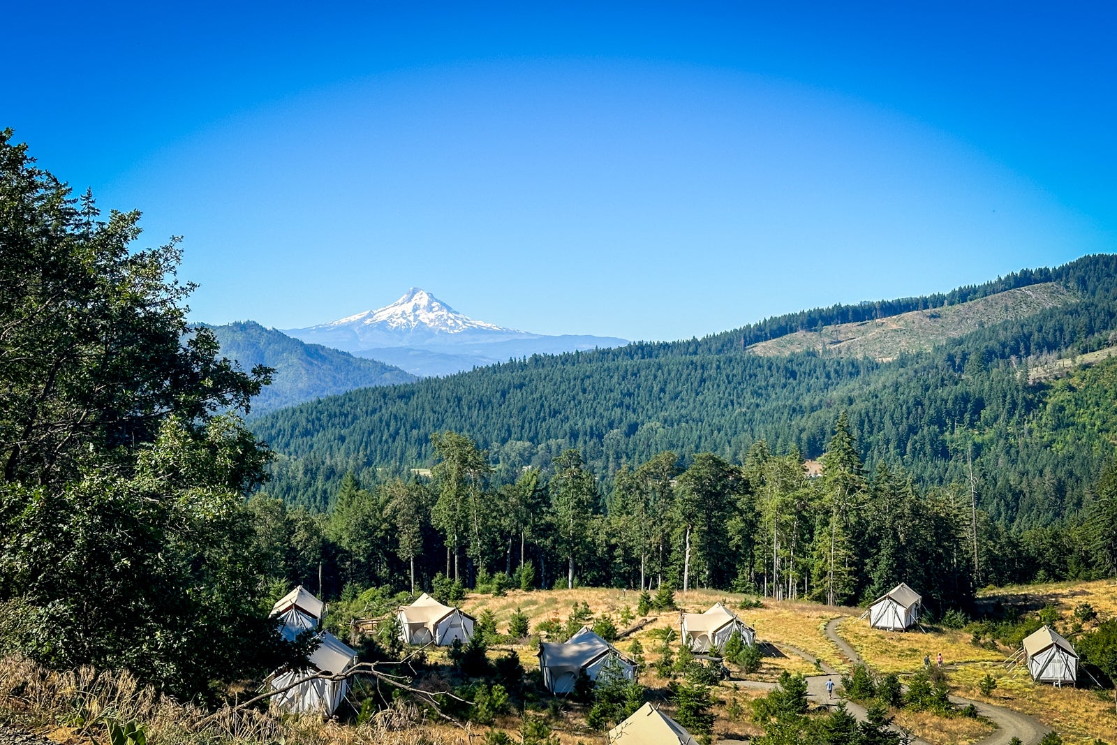 Unlock March 2026’s Secret Points and Miles Deals: Travel Smarter, Not Harder!