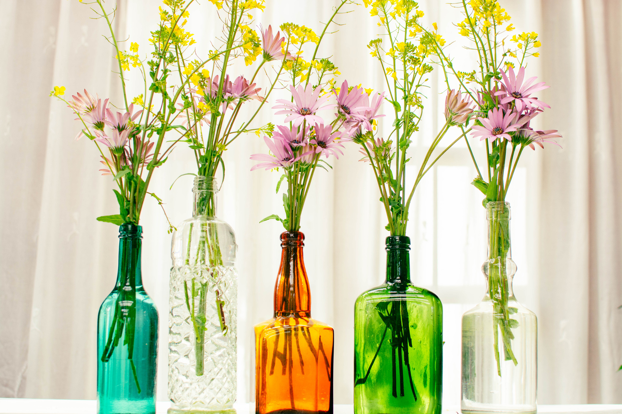 Unlock Stunning Spring Vibes with Dollar Tree’s Secret Decor Finds Under $5 You Can’t Miss!