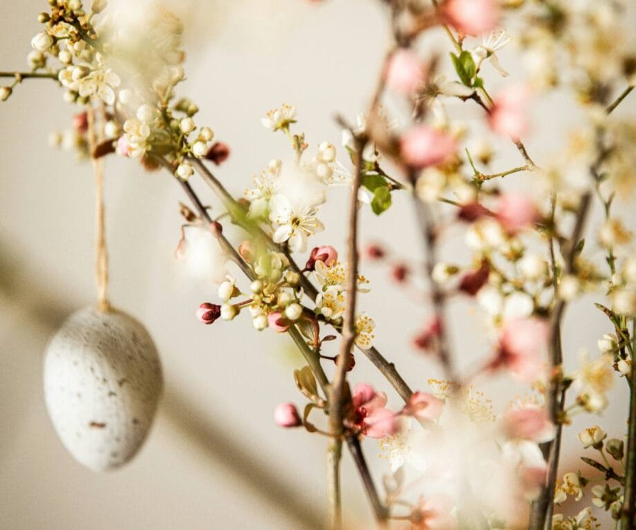 Unlock the Ultimate Easter Escape: 10 Luxe Travel Gifts That Will Change Your Spring Holiday Game Forever