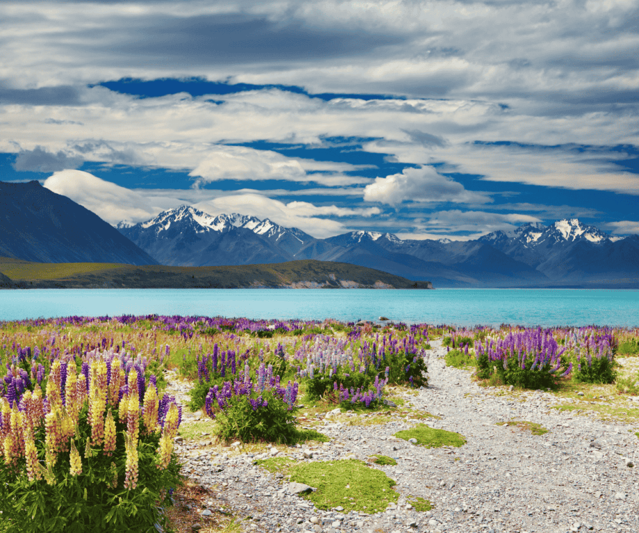 Unlocking New Zealand’s Hidden Luxury: Why Letting Go Might Be Your Best Travel Move Yet