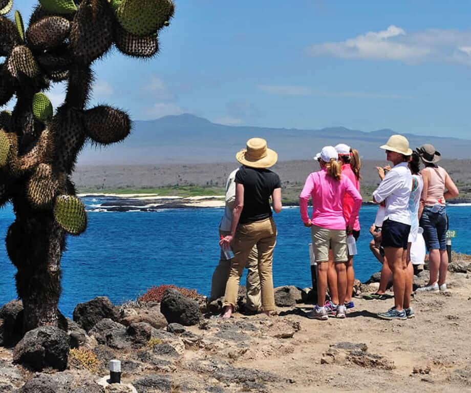 Unveiling Pikaia Lodge: The Galapagos Secret Where Wilderness Meets Unrivaled Wellness