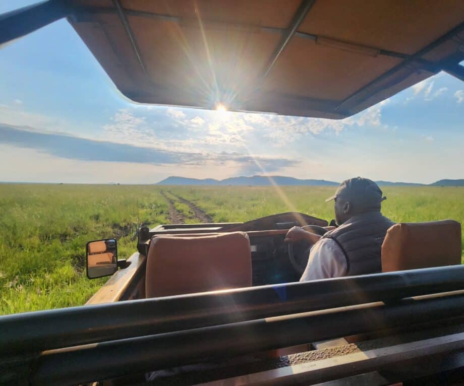 Why the Ultimate Safari Isn’t on Any Map—and How It Transforms More Than Your Travel Diary