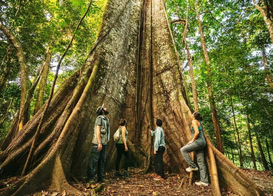 Ecuador’s Hidden Eco-Paradise: How Sustainable Tourism is Quietly Revolutionizing Local Lives and Landscapes