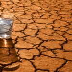 Forget Water: The Surprising Game-Changers That Actually Fix Chronic Dry Mouth for Good!