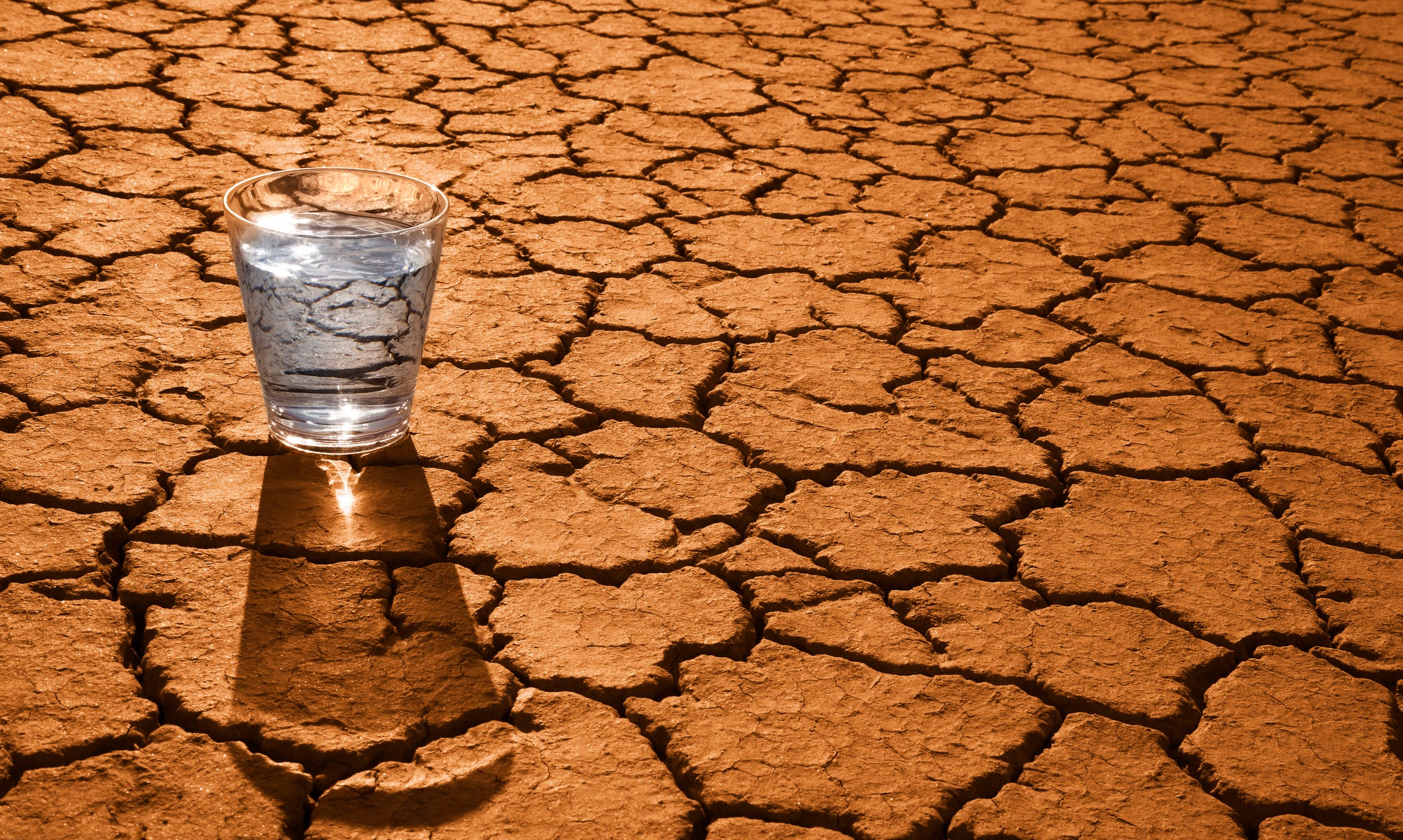 Forget Water: The Surprising Game-Changers That Actually Fix Chronic Dry Mouth for Good!