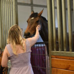 From Wall Street to Wild Hearts: The Untold Story of a Finance Pro’s Radical Escape to an Animal Sanctuary That’s Healing More Than Just Horses