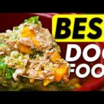 How To Make: The Most BASIC Beef Recipe for DOGS
