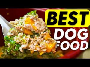 How To Make: The Most BASIC Beef Recipe for DOGS