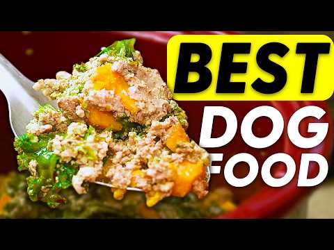 How To Make: The Most BASIC Beef Recipe for DOGS