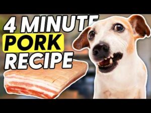 How To Make: The Most BASIC Pork Recipe for DOGS